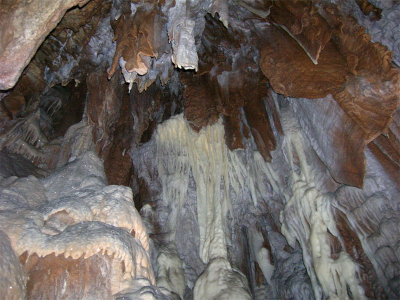 uploads/Dzjalovica_Hohle.jpg